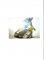 PoppaRat's Avatar